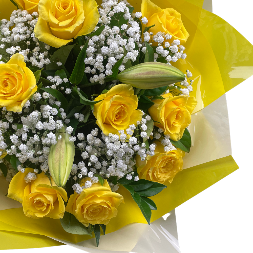 Elegant Roses Collection- Yellow - 10 STEMS