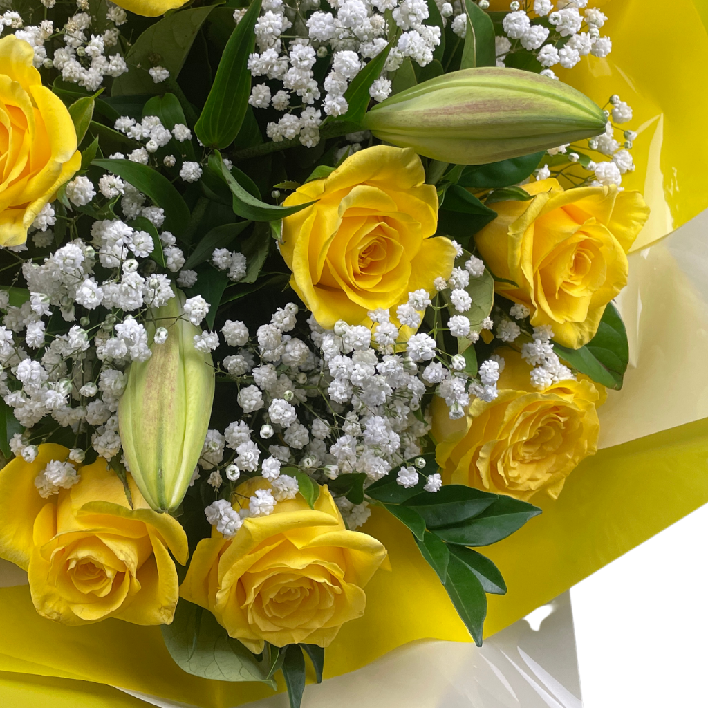 Elegant Roses Collection- Yellow - 10 STEMS