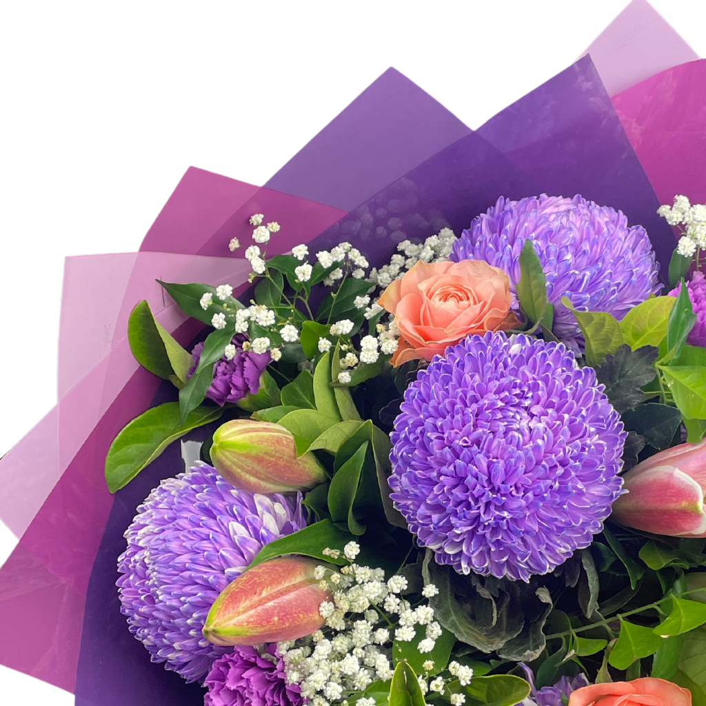 Blushing Signature With Pompom Disbuds and Roses - Purple