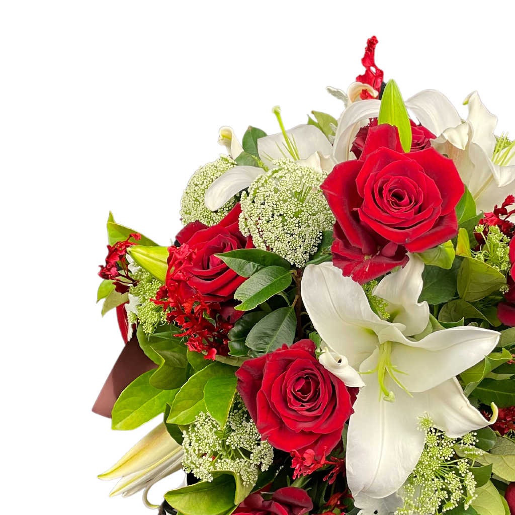 Elegant Columbia Roses Arrangement Collection- RED - 10 STEMS