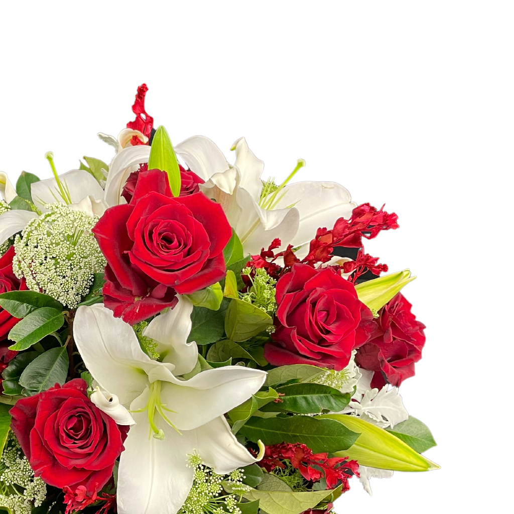 Elegant Columbia Roses Arrangement Collection- RED - 10 STEMS