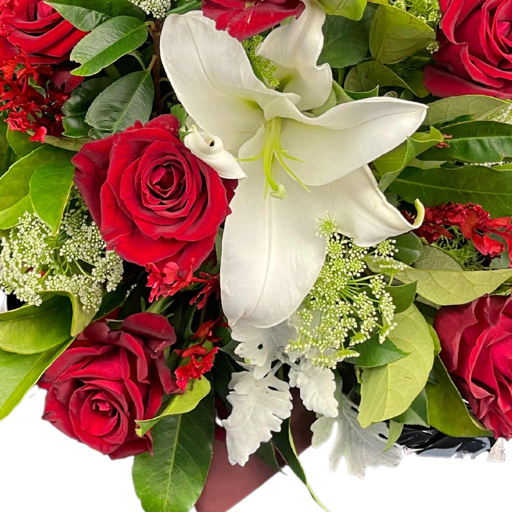 Elegant Columbia Roses Arrangement Collection- RED - 10 STEMS