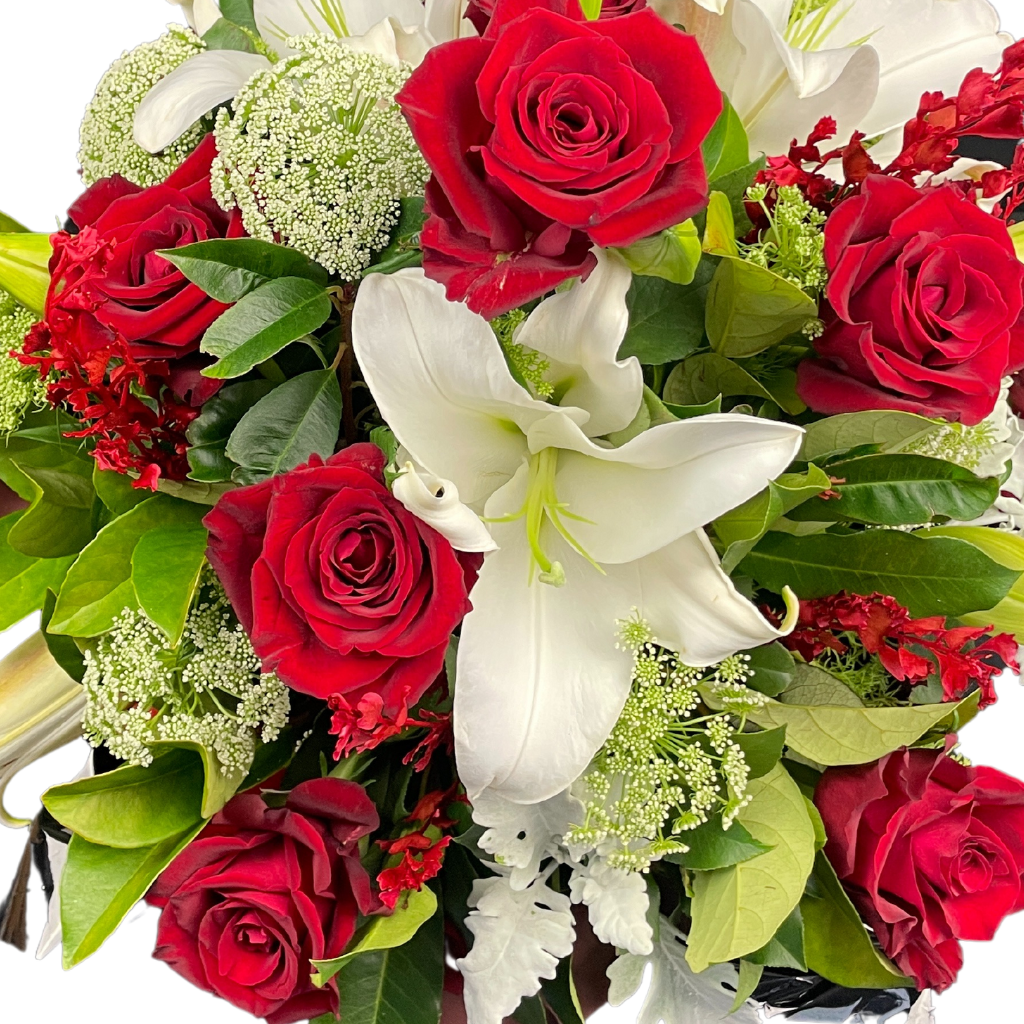 Elegant Columbia Roses Arrangement Collection- RED - 10 STEMS