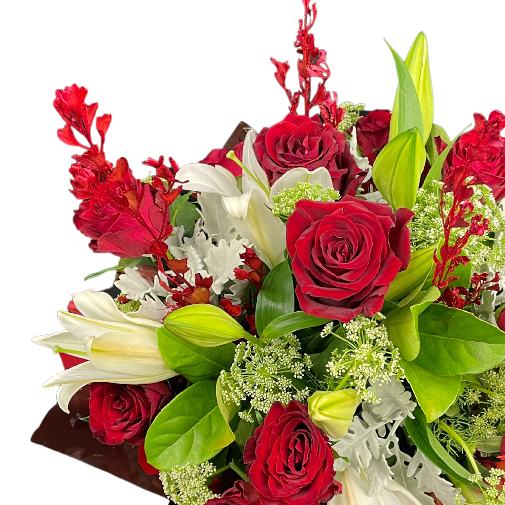 Elegant Columbia Roses Arrangement Collection- RED - 12 STEMS