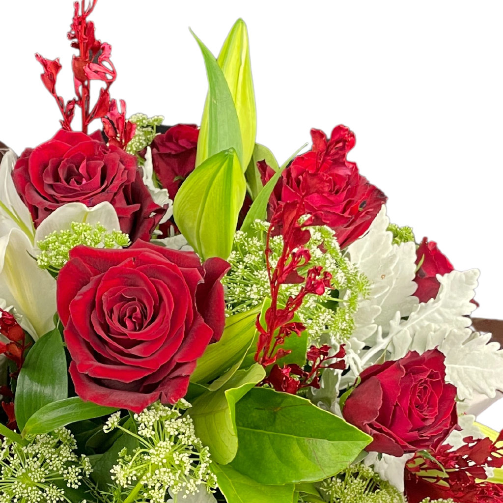 Elegant Columbia Roses Arrangement Collection- RED - 12 STEMS