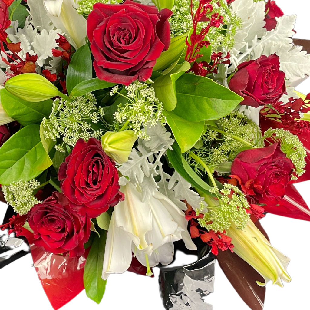 Elegant Columbia Roses Arrangement Collection- RED - 12 STEMS