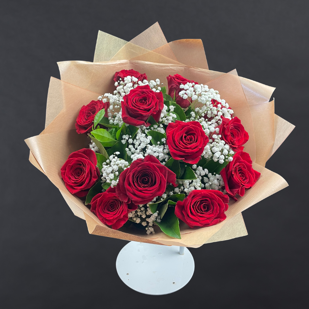 Elegant Columbia Roses Collection- RED - 12 STEMS