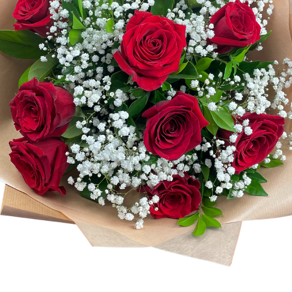 Elegant Columbia Roses Collection- RED - 12 STEMS