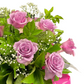 Elegant Roses Arrangement Collection- Purple - 10 STEMS