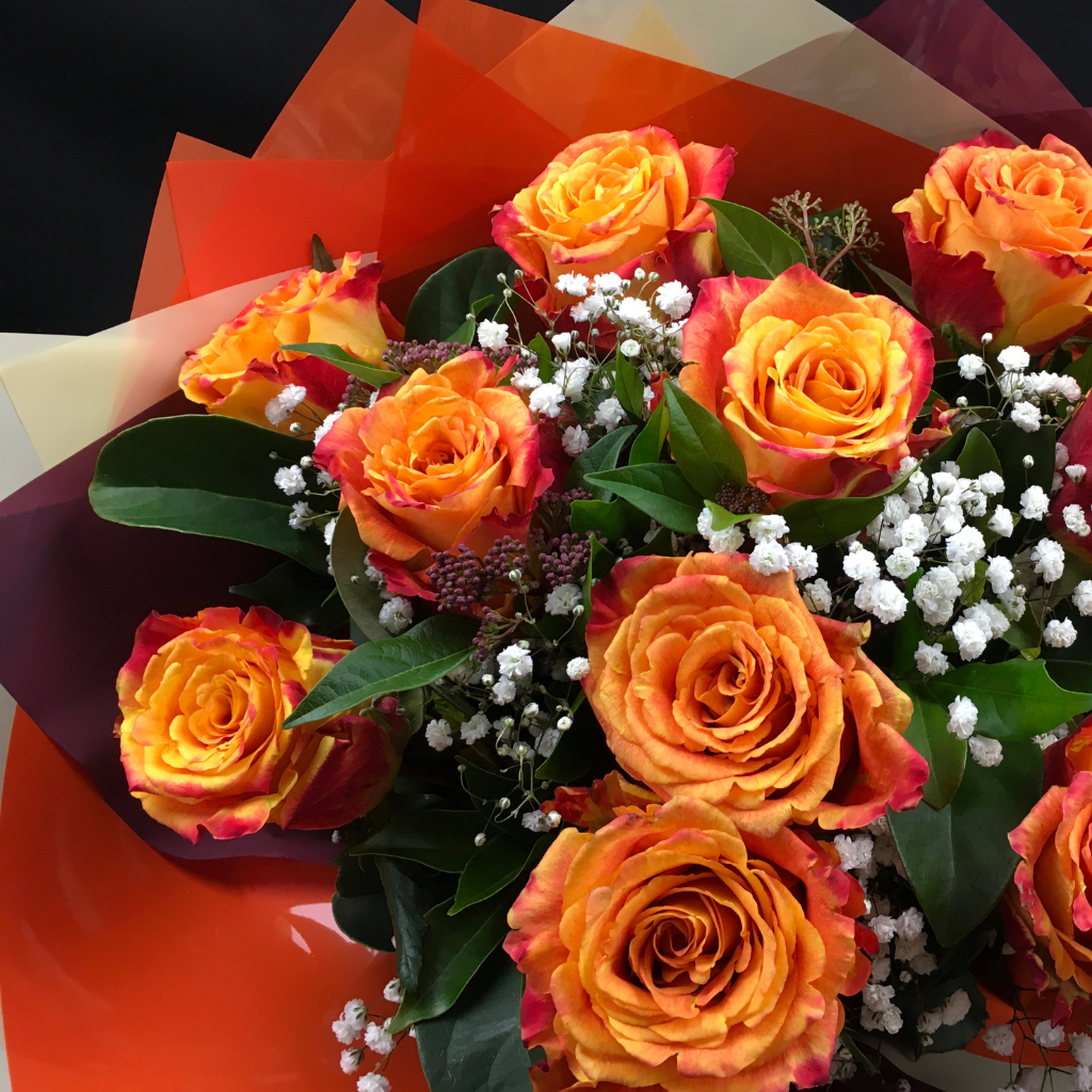 Elegant Roses Collection- Orange - 10 STEMS