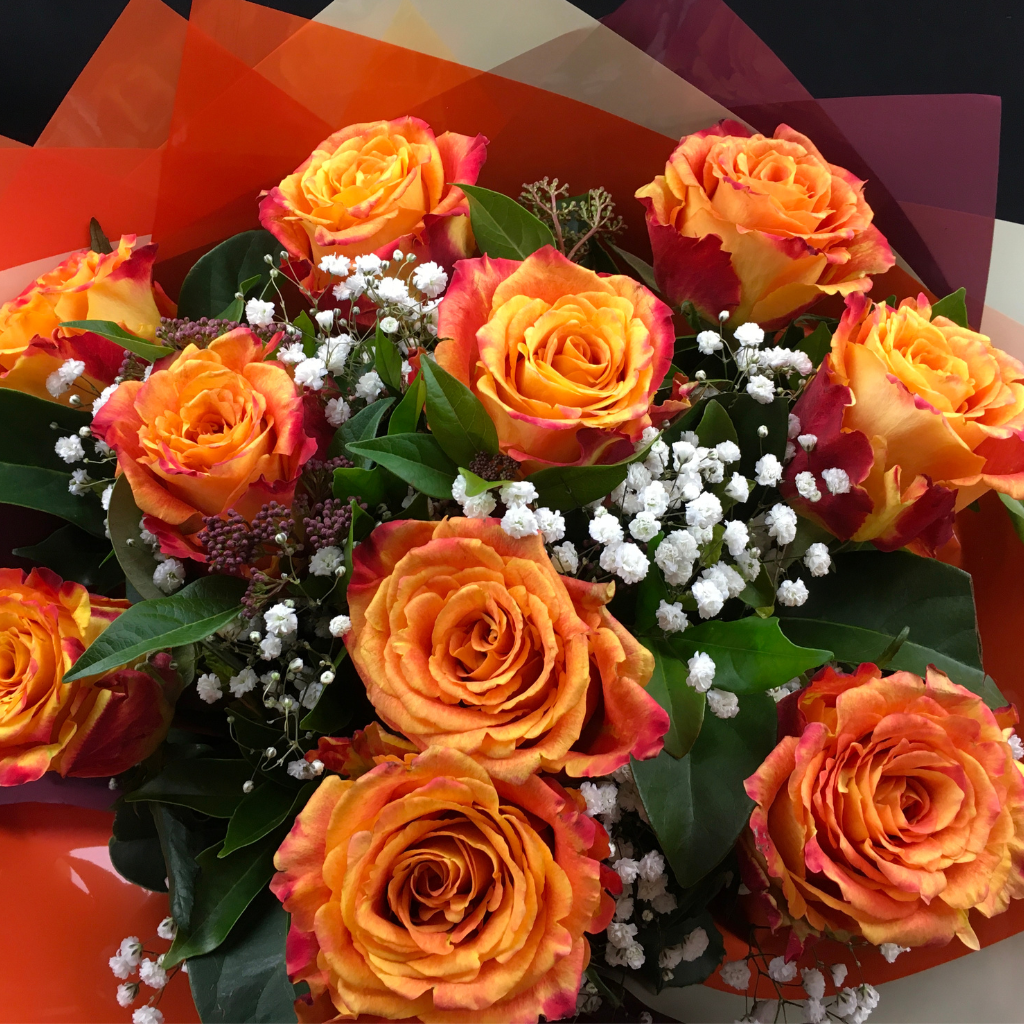 Elegant Roses Collection- Orange - 10 STEMS