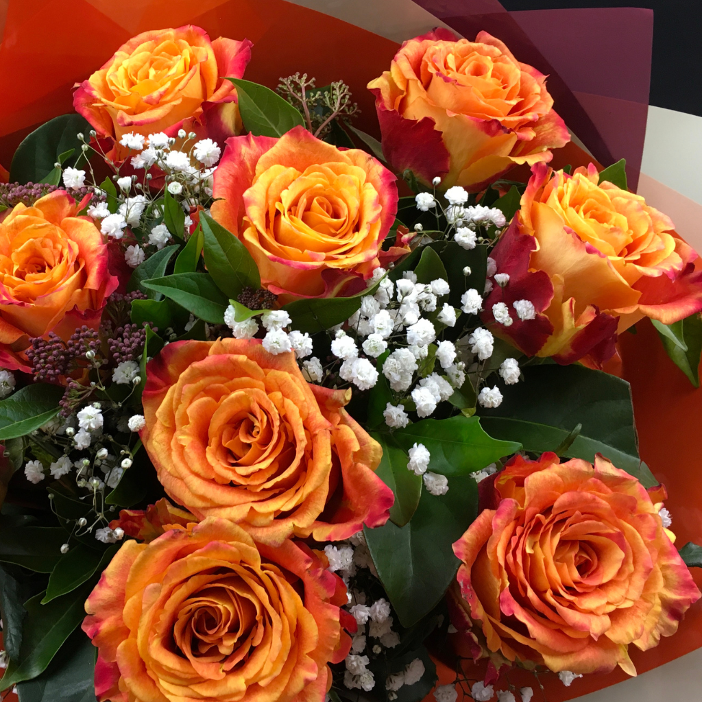 Elegant Roses Collection- Orange - 10 STEMS