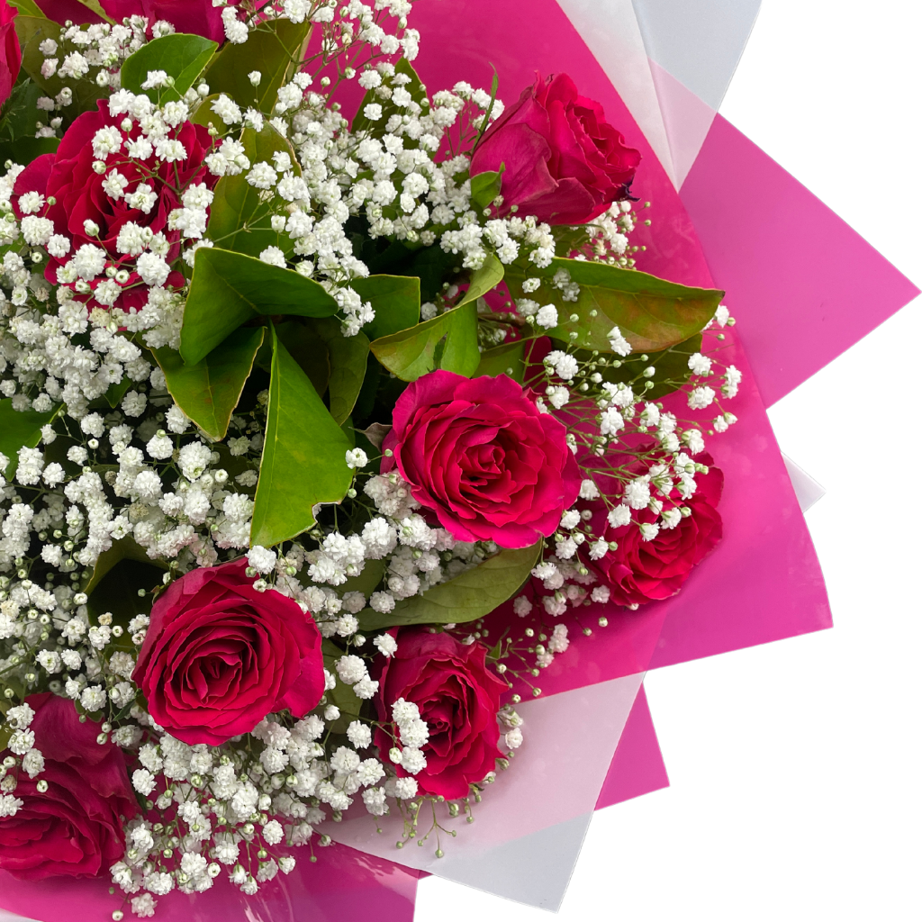 Elegant Roses Collection- Hot Pink - 10 STEMS