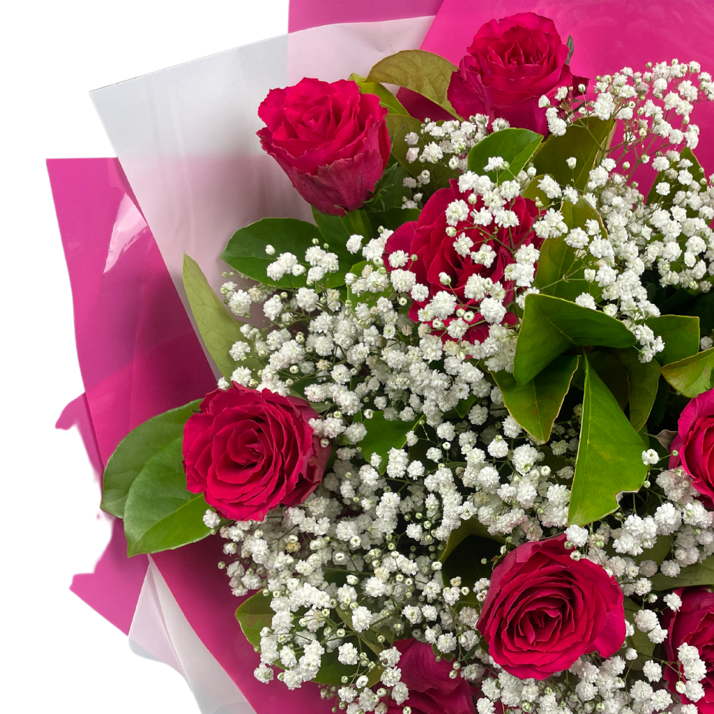 Elegant Roses Collection- Hot Pink - 10 STEMS