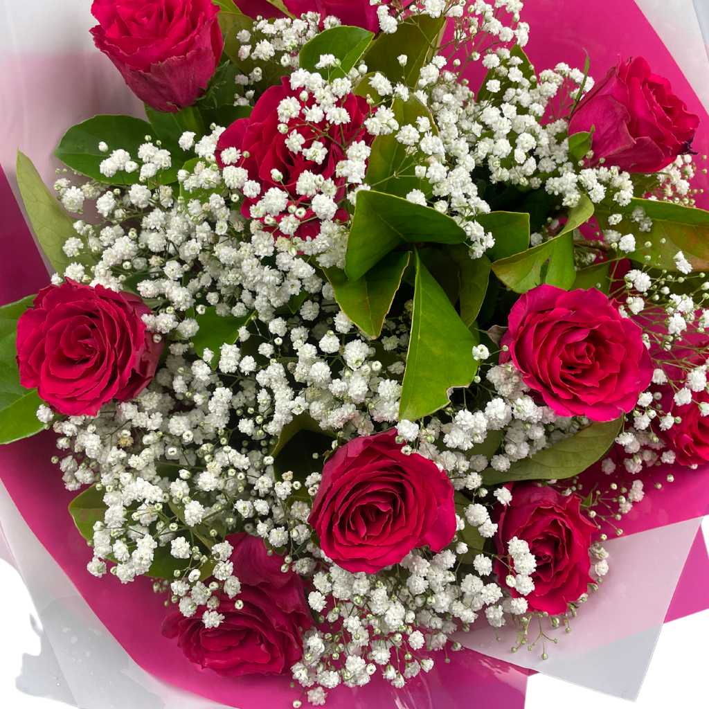 Elegant Roses Collection- Hot Pink - 10 STEMS