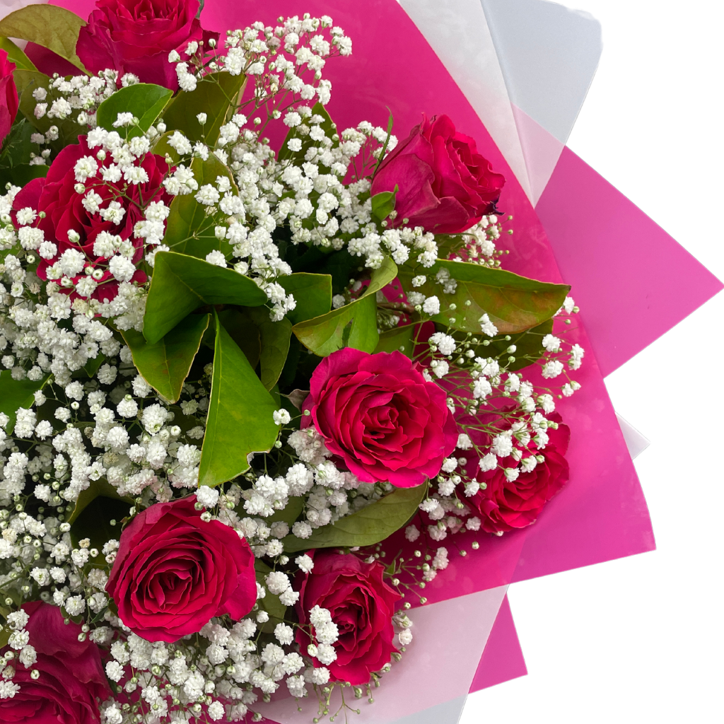 Elegant Roses Collection- Hot Pink - 10 STEMS